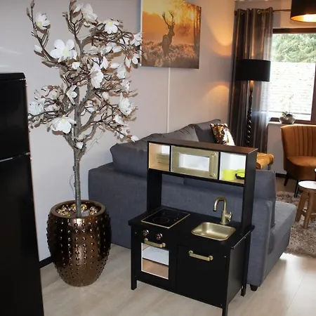 דירה - Liemeckeweg 12-h Elkeringhausen ווינטרברג